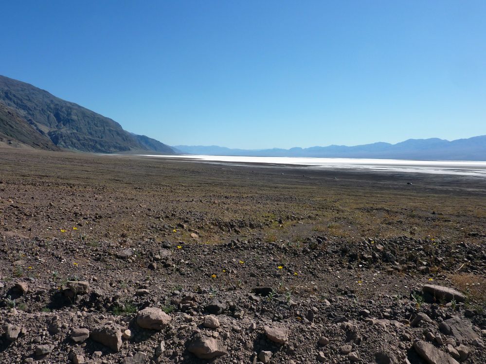 vallée de la mort  (92).JPG